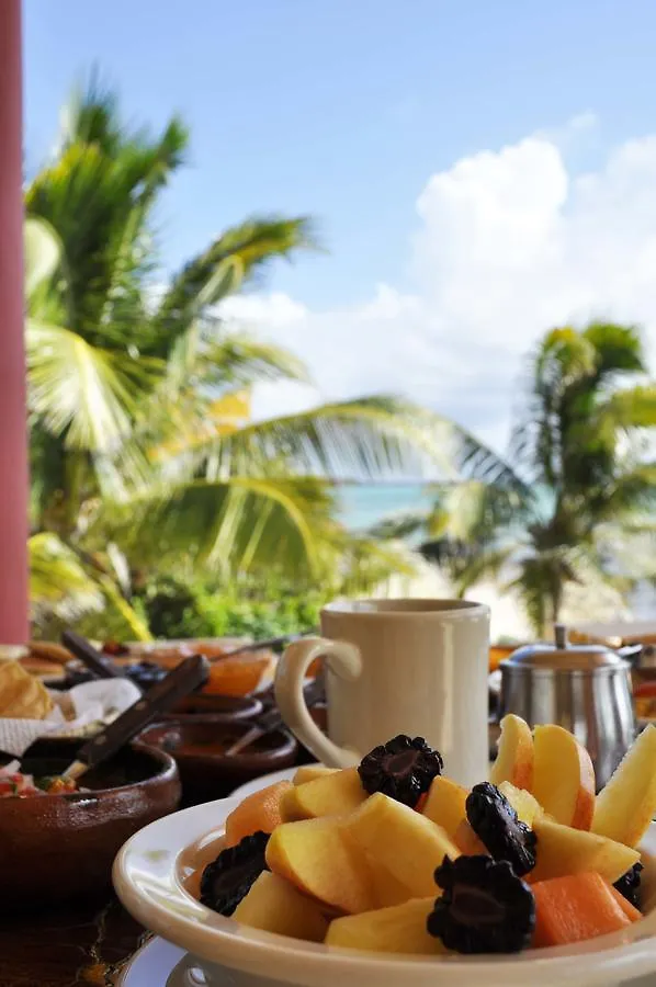 Tankah Inn B&B & Diving Hotel Tulum Oda ve Kahvaltı
