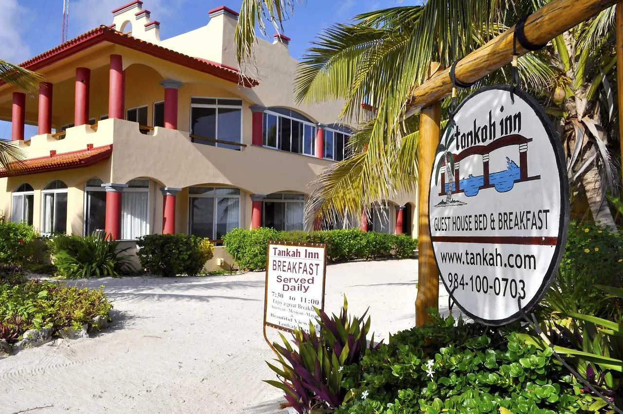 Tankah Inn B&B & Diving Hotel Tulum 0*,  Messico