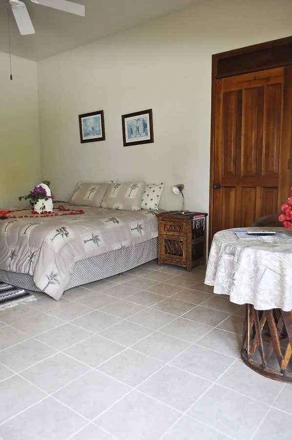 Bed & Breakfast Tankah Inn B&B & Diving Hotel Tulum
